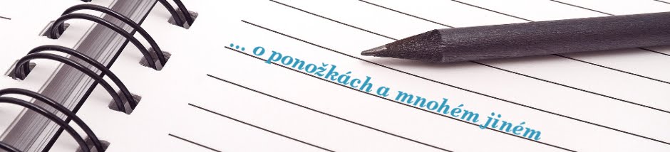 Logo blogu o ponožkách
